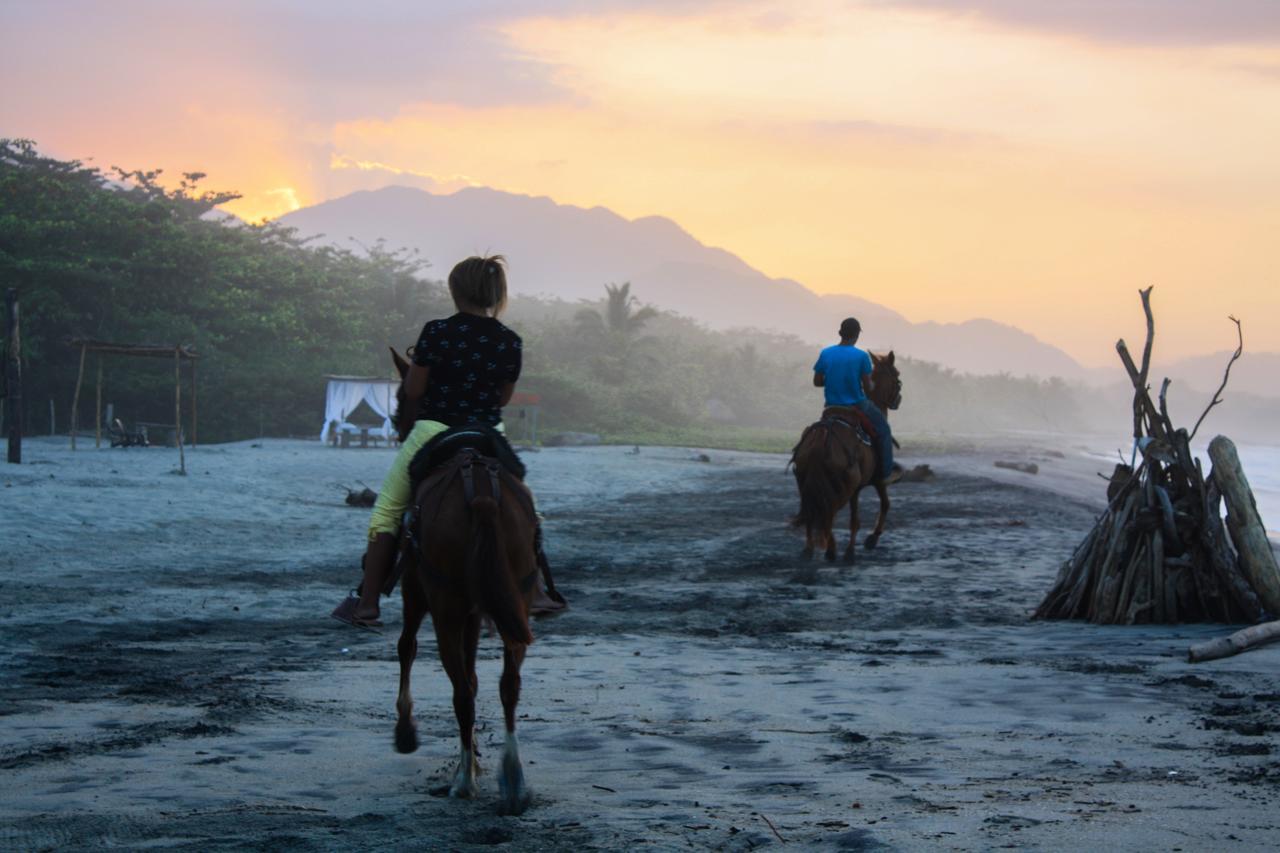 Tay Beach Hotel Tayrona บูรีตากา ภายนอก รูปภาพ
